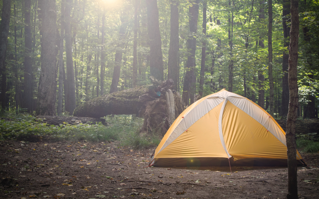 Tips on Picking the Best Camping Sites